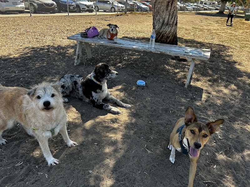 North Park Community Dog Park photo 2