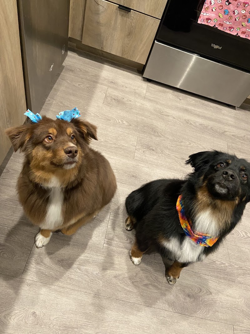 North Paws Ranch photo 3