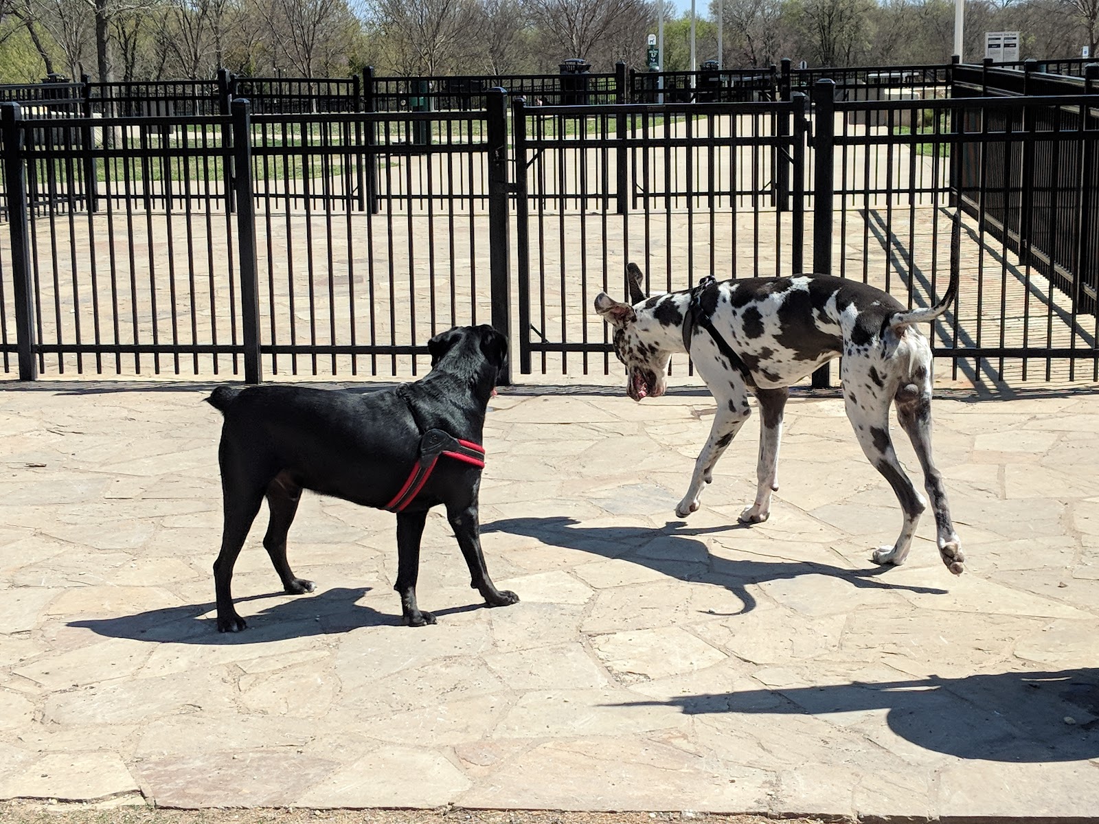 NorthBark Dog Park