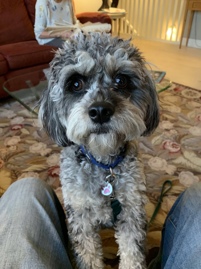 Northfield Veterinary Hospital photo 2