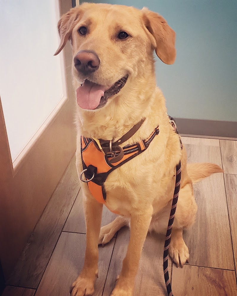 Northfield Veterinary Hospital photo 3