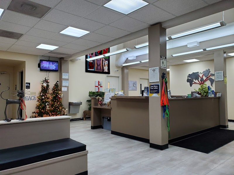 Northside Emergency Pet Clinic photo 2