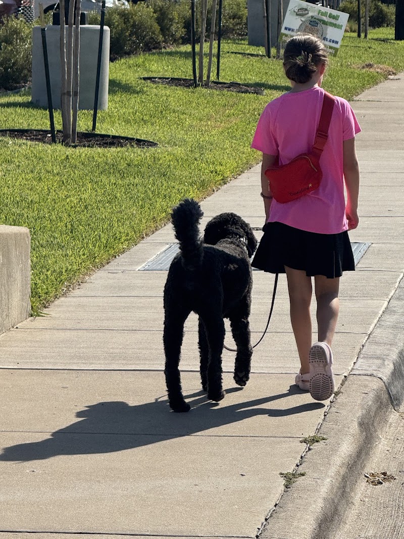 Norton Dog Training photo 3