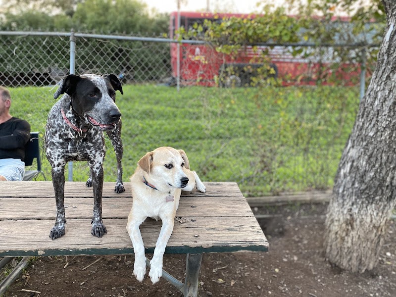 Norwood Estate Dog Park on E. Riverside photo 3