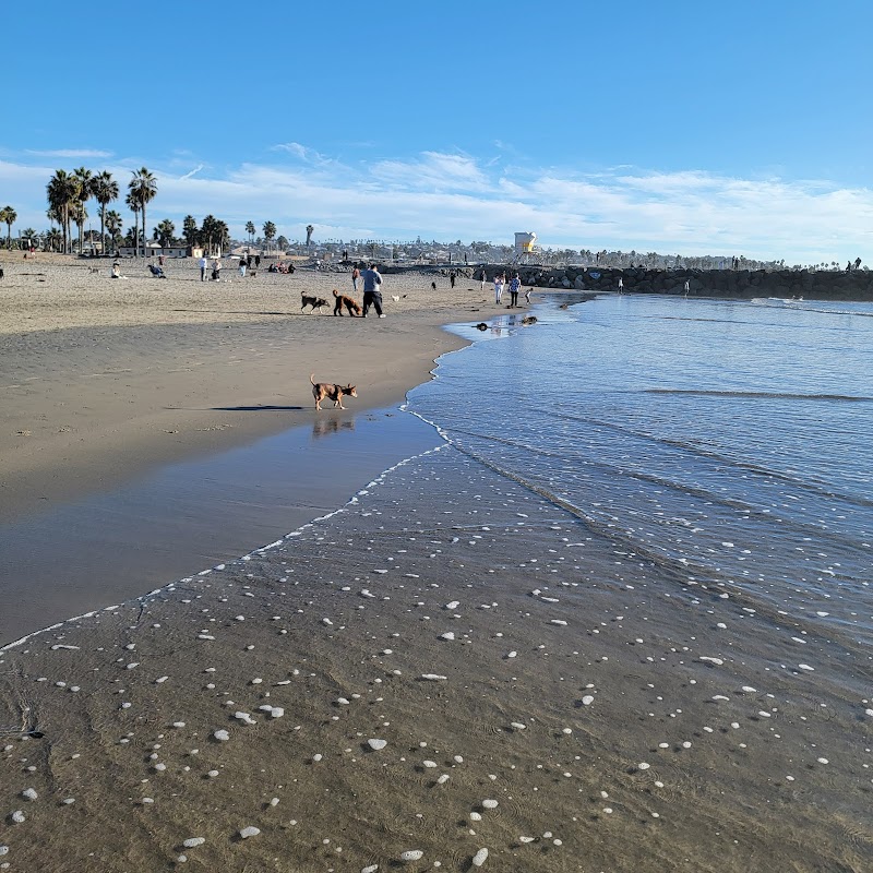 Ocean Beach | Dog Beach