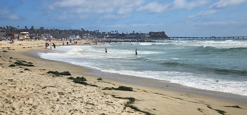 Ocean Beach | Dog Beach photo 2