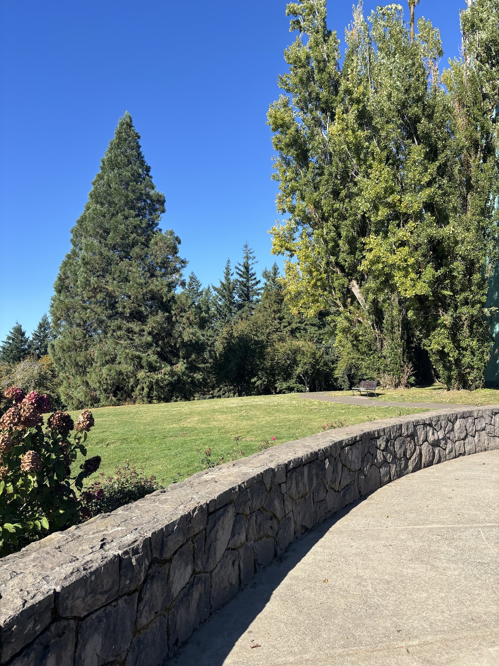 Off-Leash Dog Park