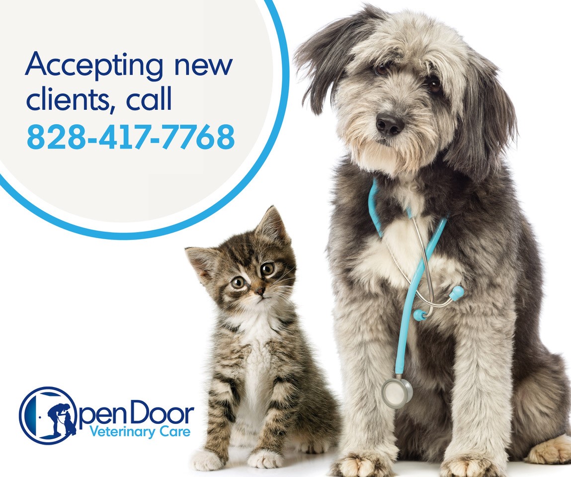 Open Door Veterinary Care