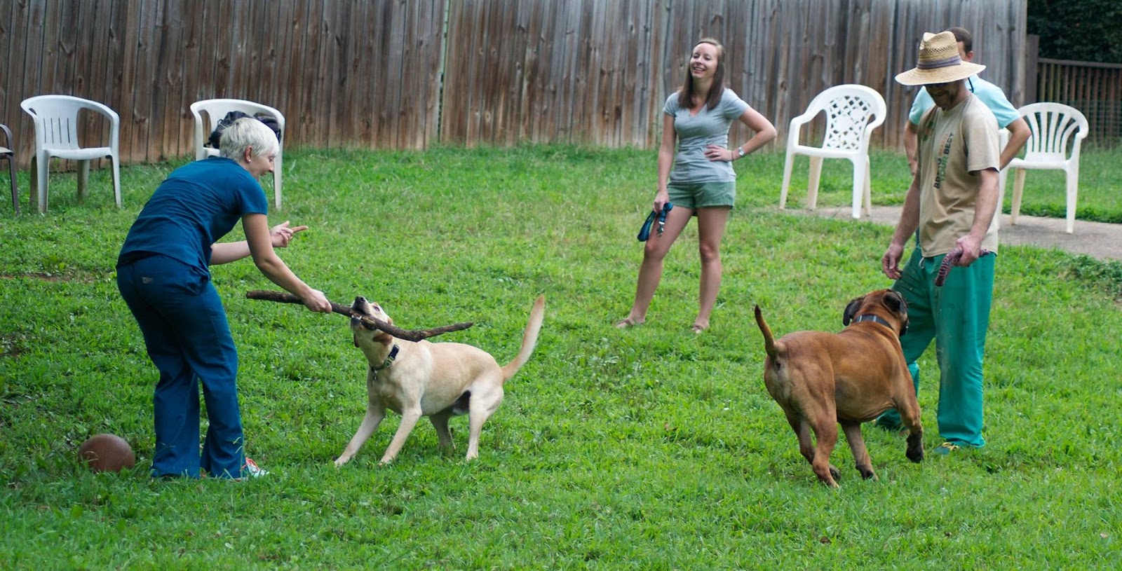 Ormewood Dog Yard