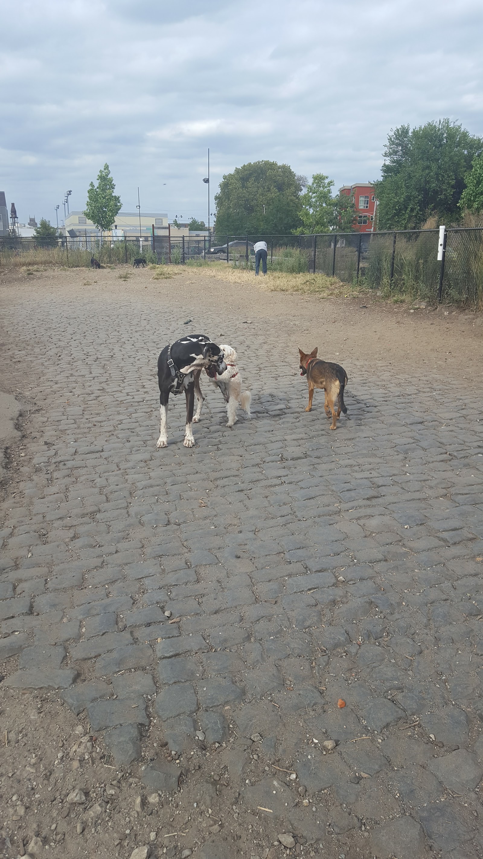 Palmer Doggie Depot