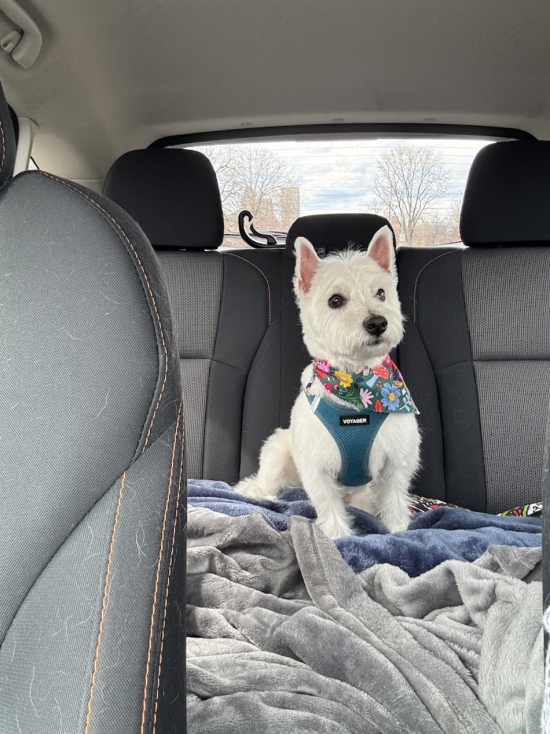 Pampered Paws photo 2