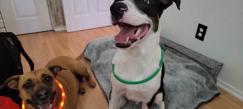 Pampered Pets Las Vegas