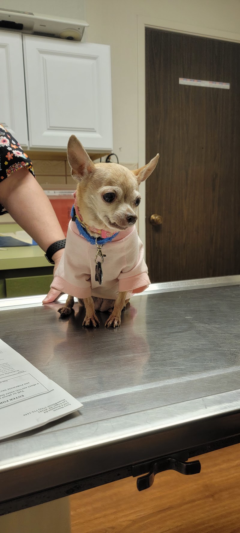 Pampered Pets Las Vegas photo 2