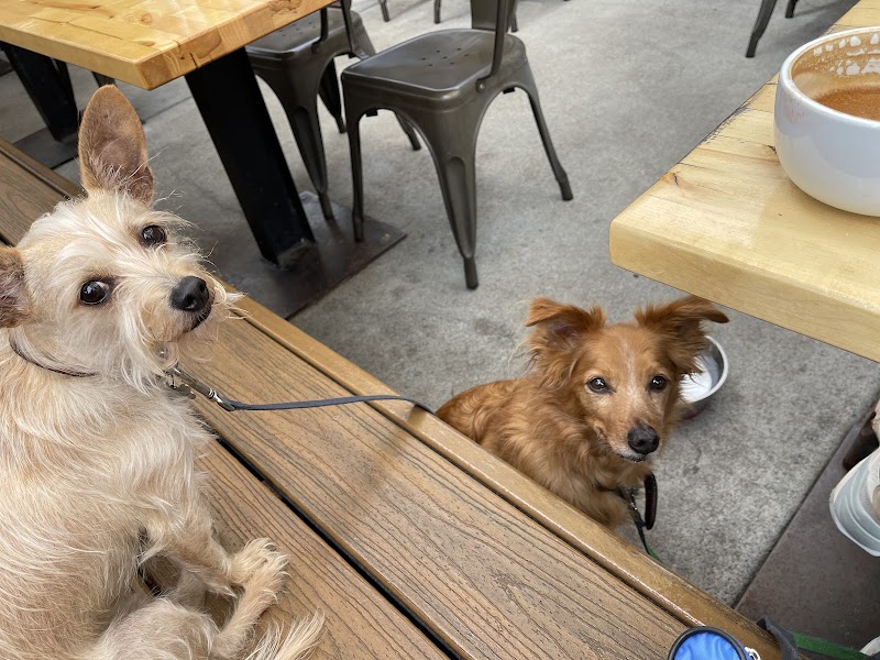 Paradise Pet Care photo 2