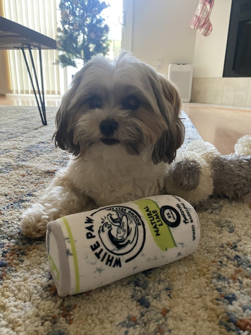 Paradise Pet Care photo 3