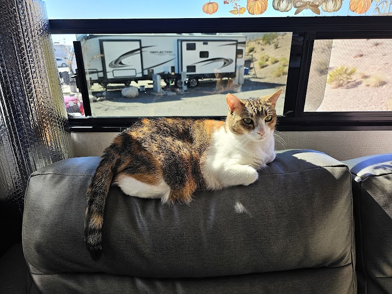 Park Animal Hospital