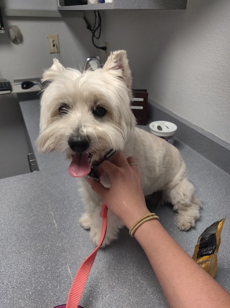 Park Animal Hospital photo 2