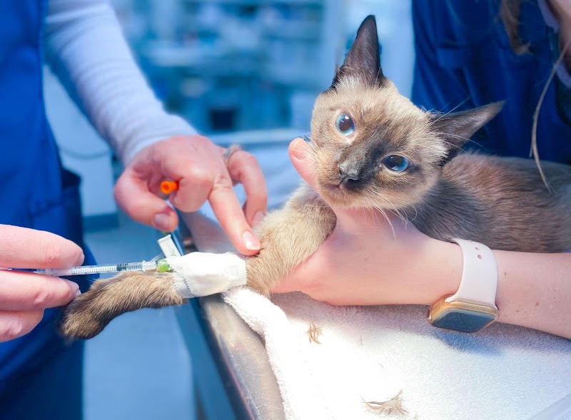 Parker Animal Care photo 2