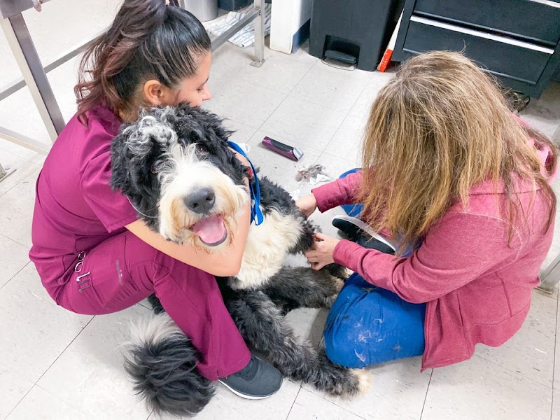 Parker Animal Care photo 3