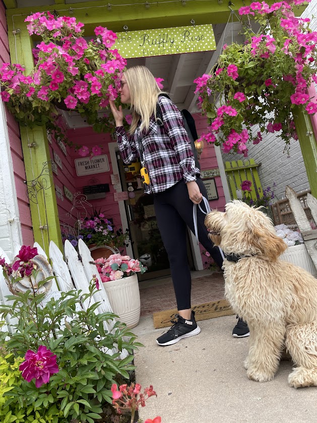 Pavlov Dog Training - Denver