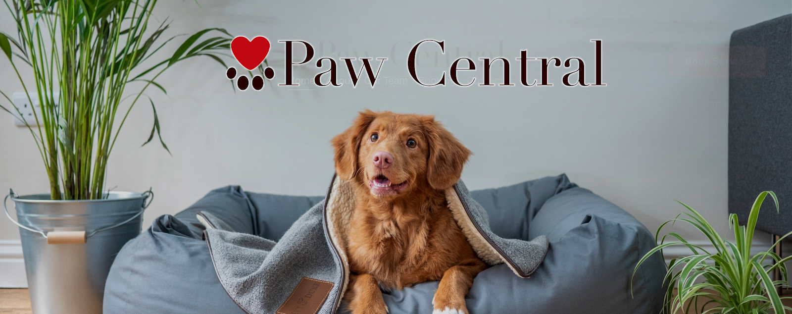 Paw Central