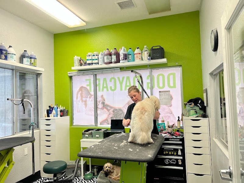 Paw Commons Pet Resort & Training Center - Hillcrest photo 2