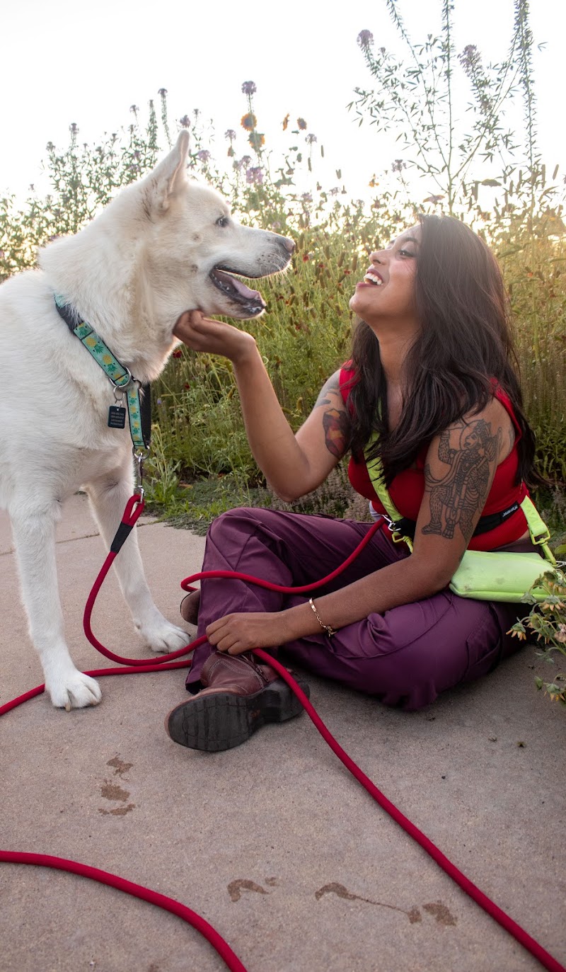 Pawpins Petsitting llc