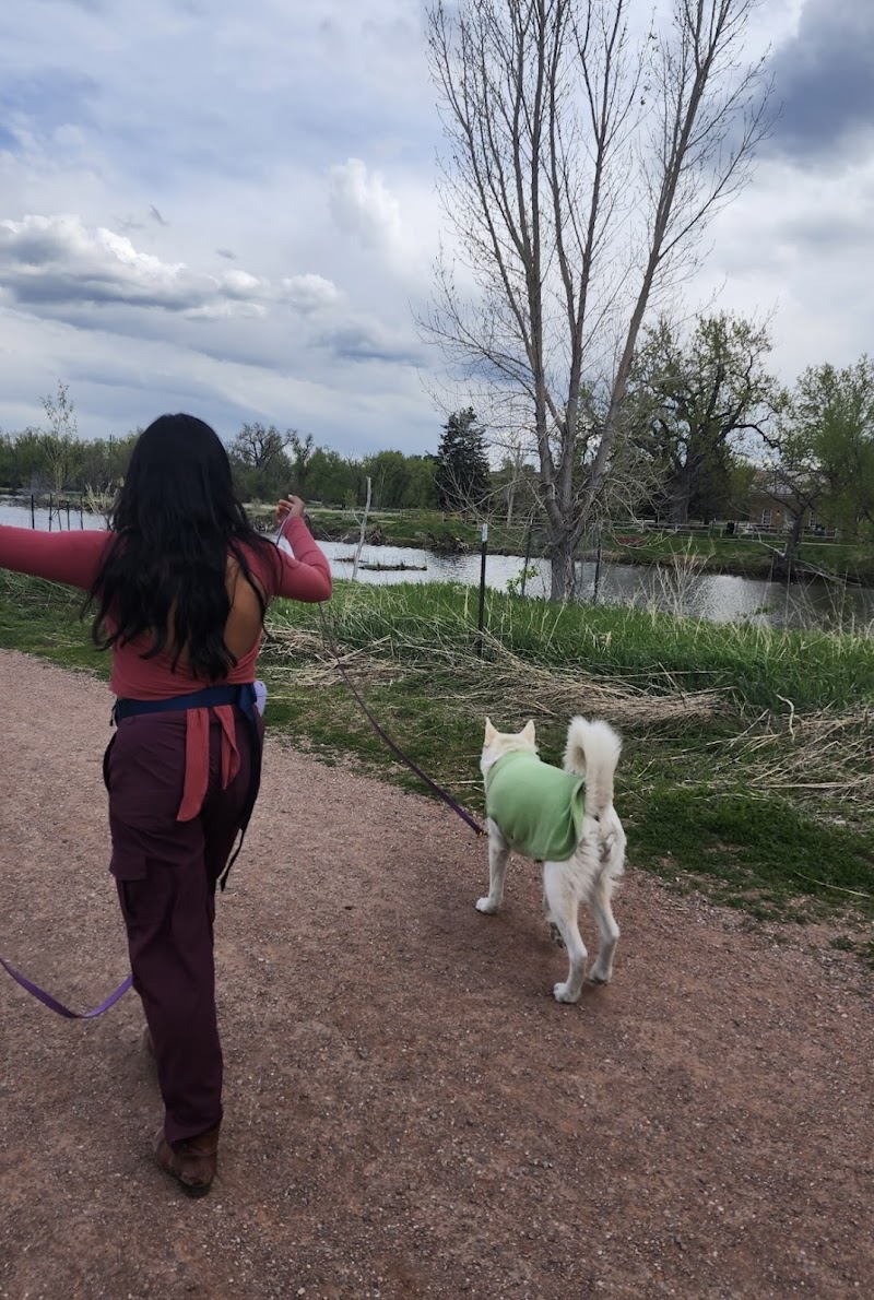 Pawpins Petsitting llc photo 2