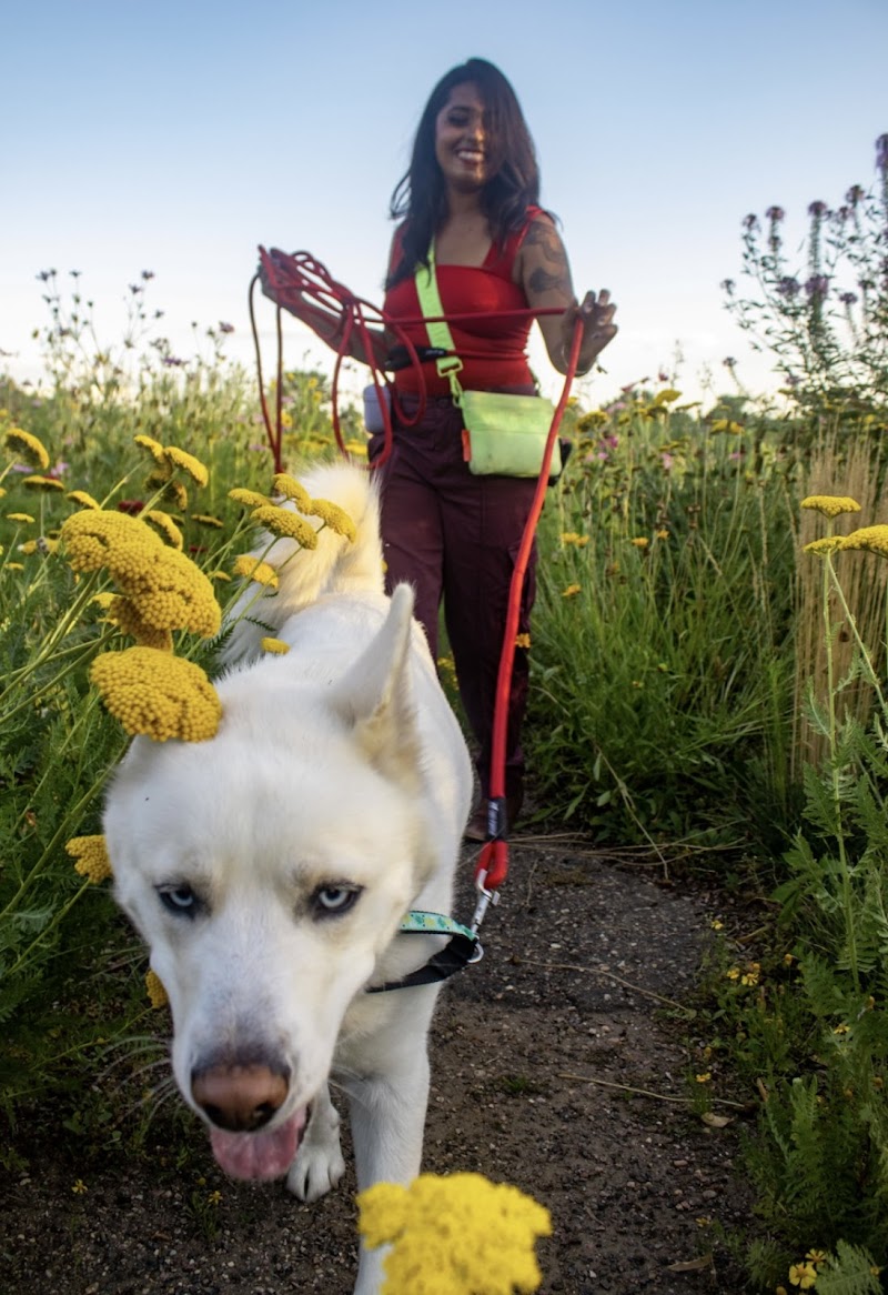 Pawpins Petsitting llc photo 3