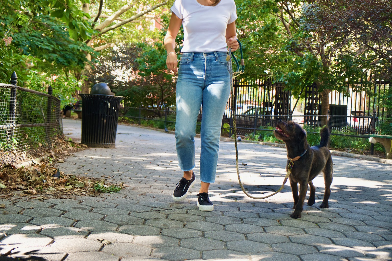 Paws for Thought Dog Training