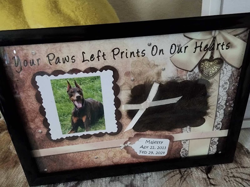 Paws In Paradise Pet Crematory photo 2