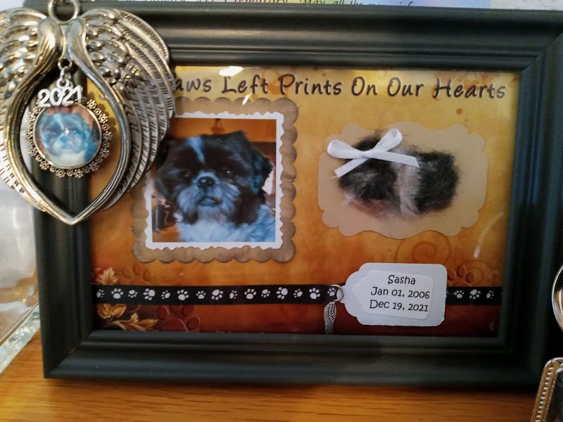 Paws In Paradise Pet Crematory photo 3