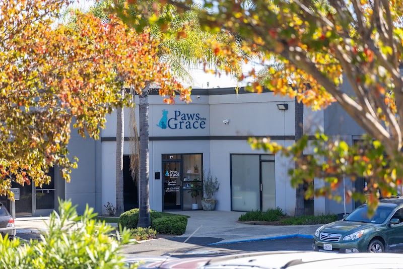 Paws Into Grace photo 2