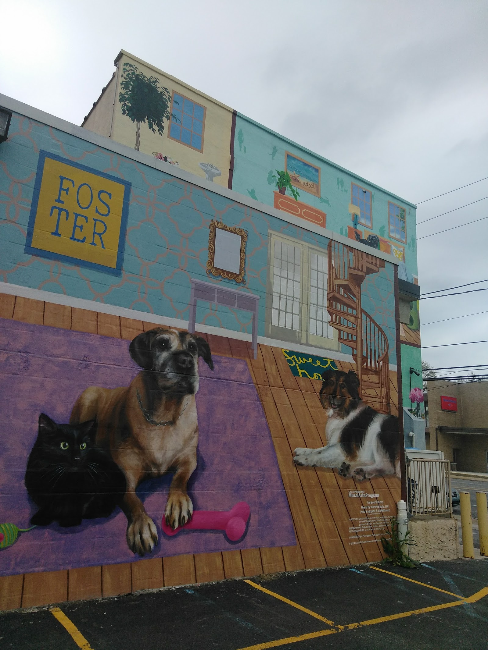 PAWS Northeast Spay/Neuter & Wellness Clinic