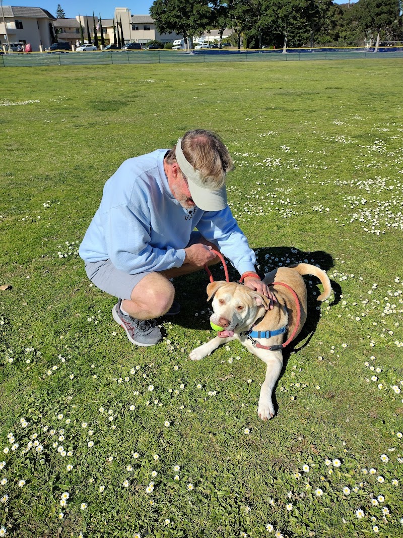 PAWS of Coronado photo 3