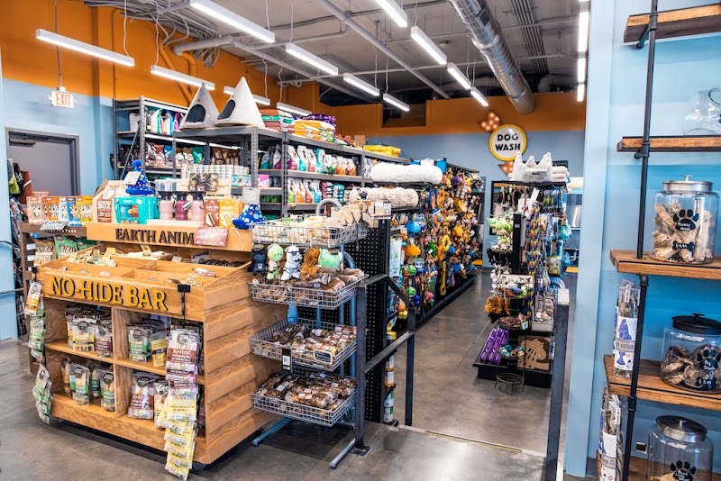 Paws on Chicon photo 2