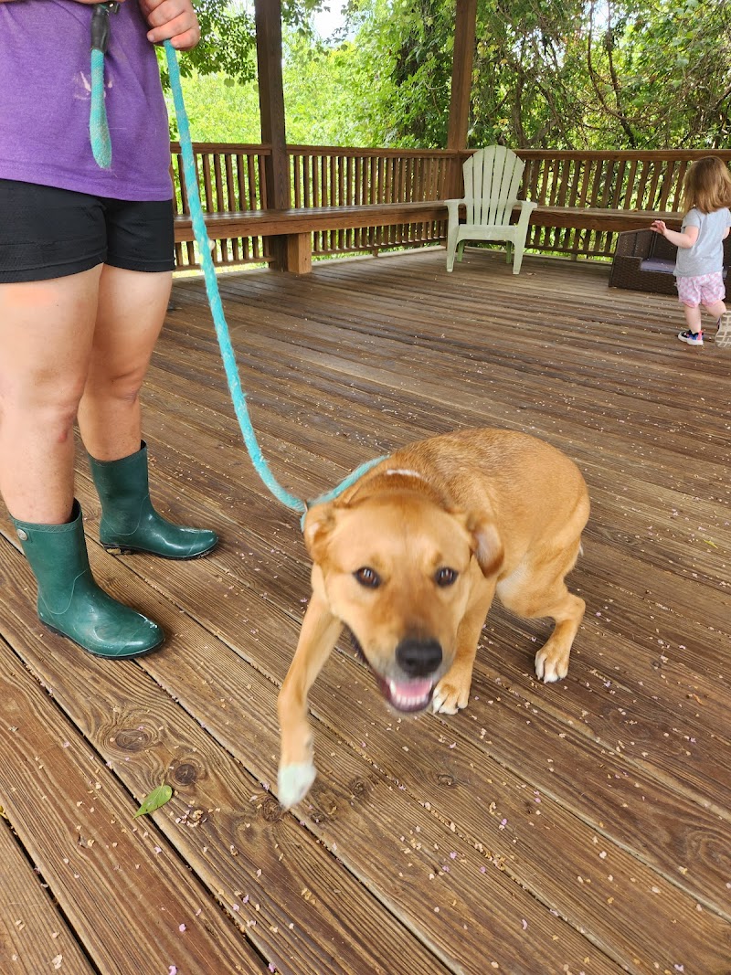 PAWS Shelter of Central Texas