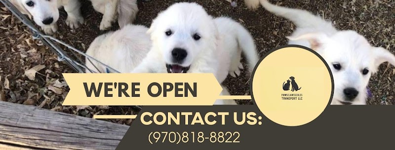 PawsClawsScales Transport LLC