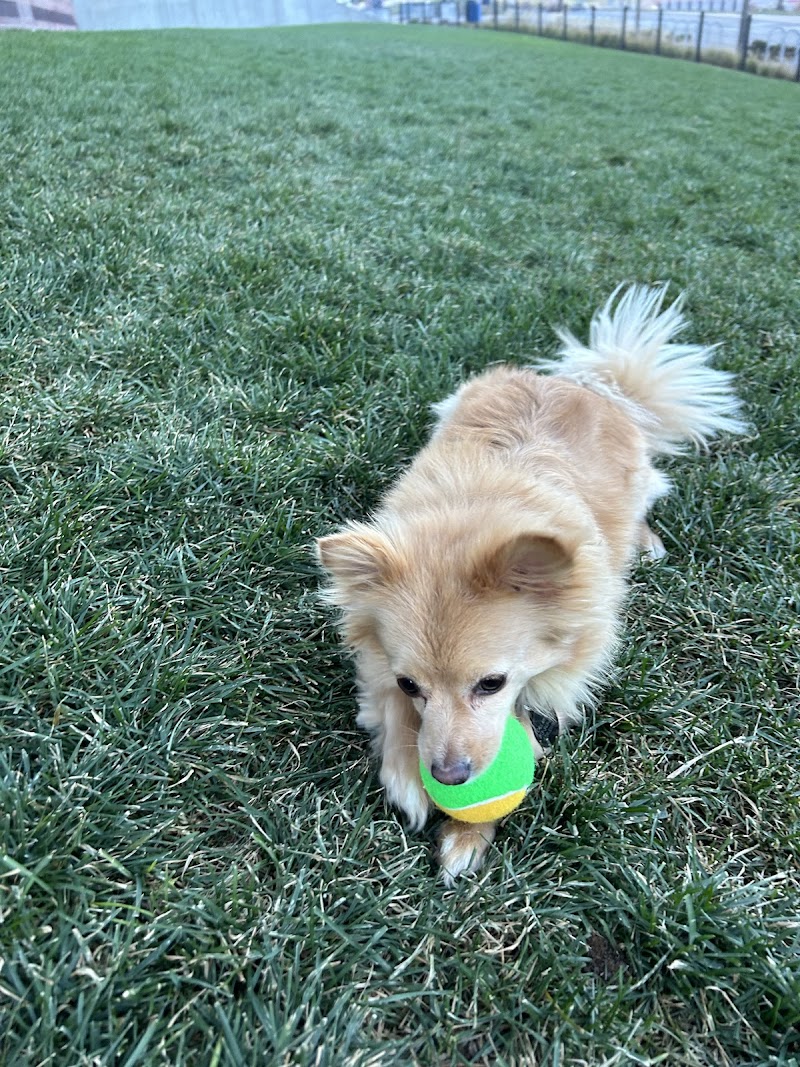 PawsCo Headquarters photo 3