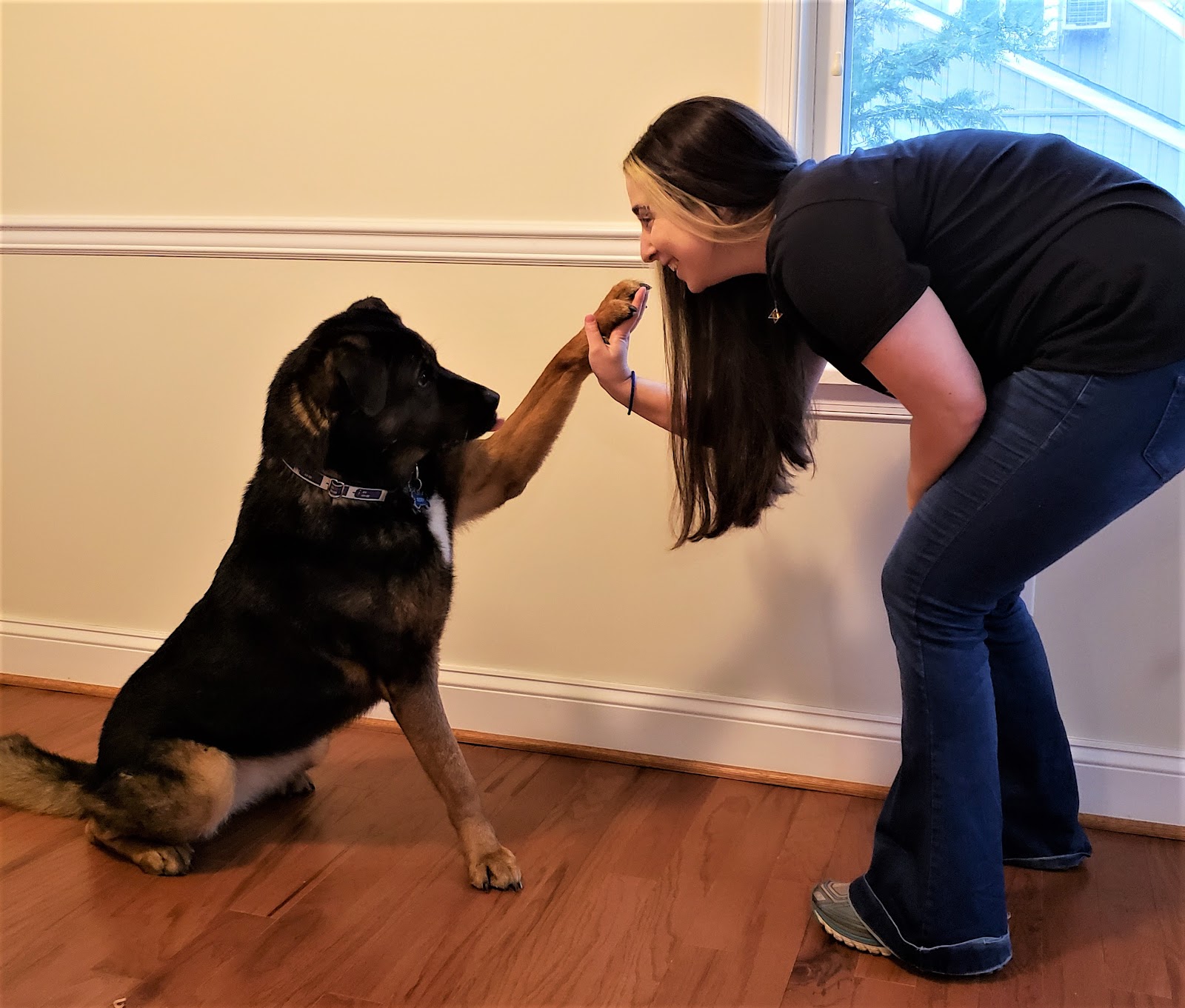 Pawsitive Reinforcement Pet Training