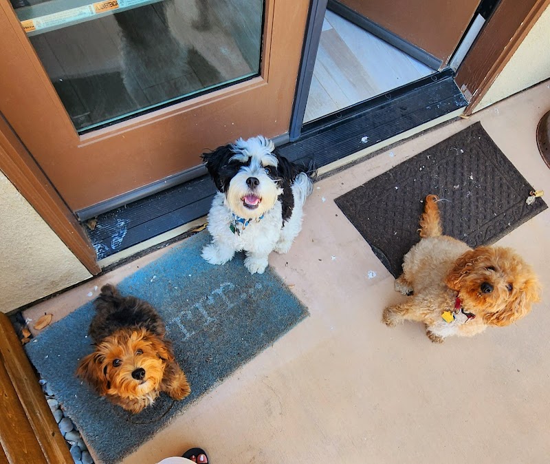 Pawtails Pet Sitting Services photo 3