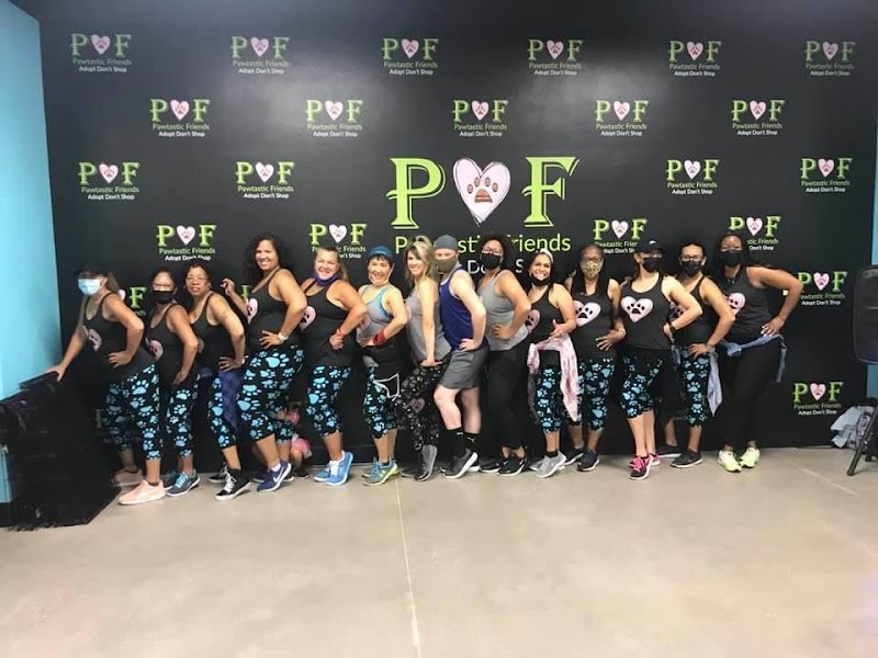 Pawtastic Friends photo 2