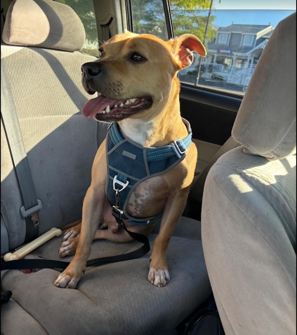 Pennsylvania SPCA