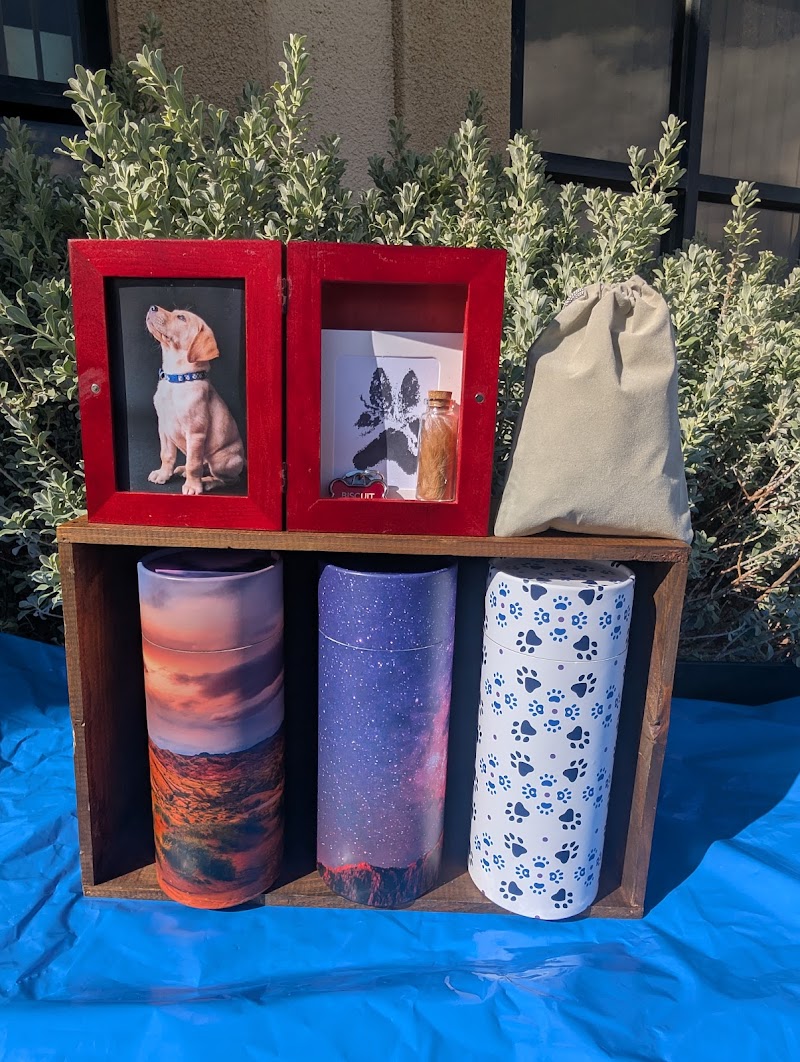 Perpetual Memories, Las Vegas