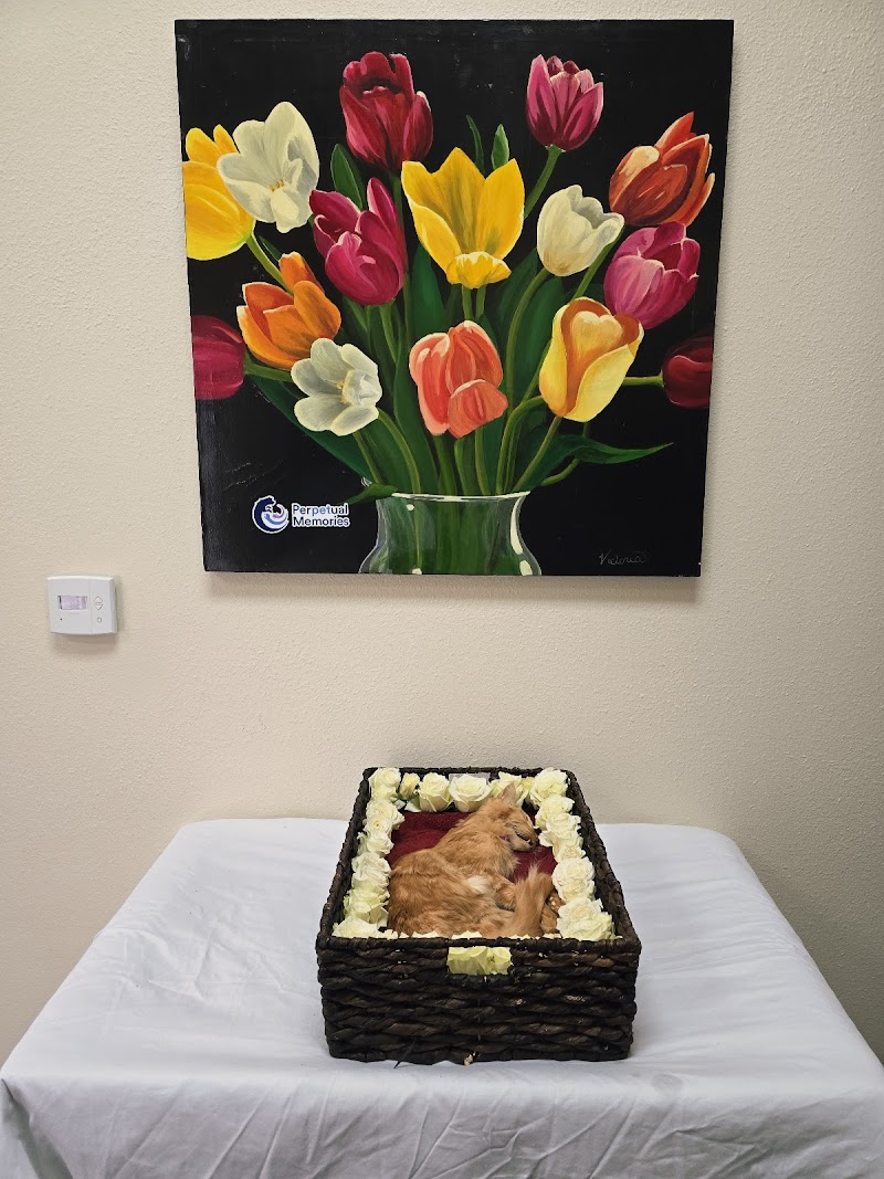 Perpetual Memories, Las Vegas photo 2