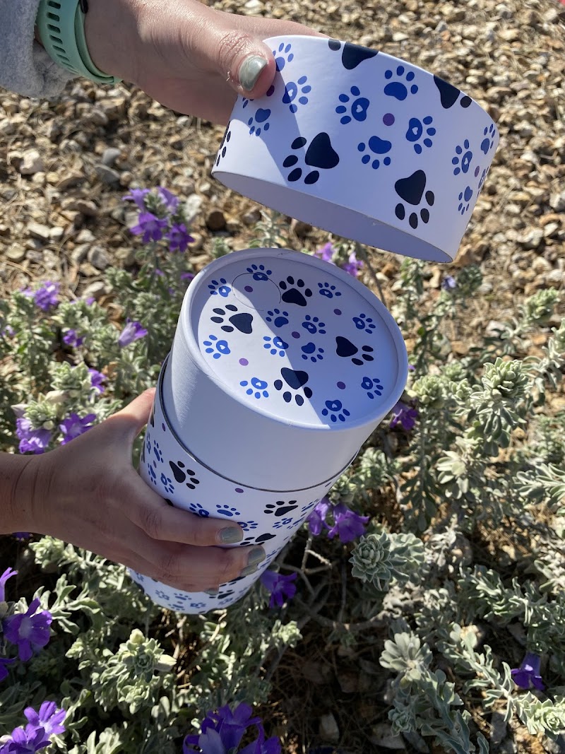 Perpetual Memories, Las Vegas photo 3