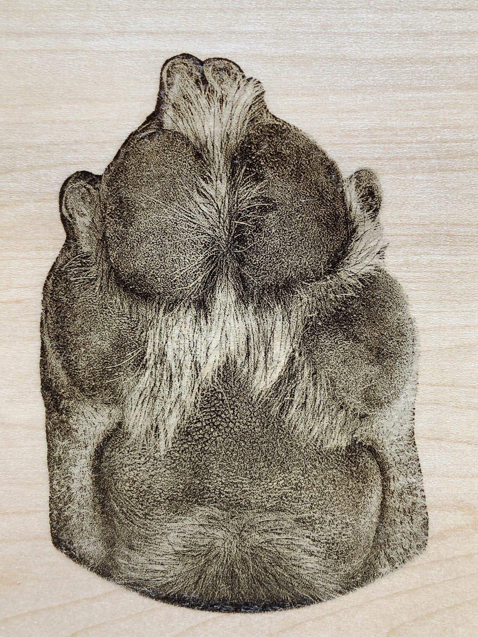 Pet After Life Services