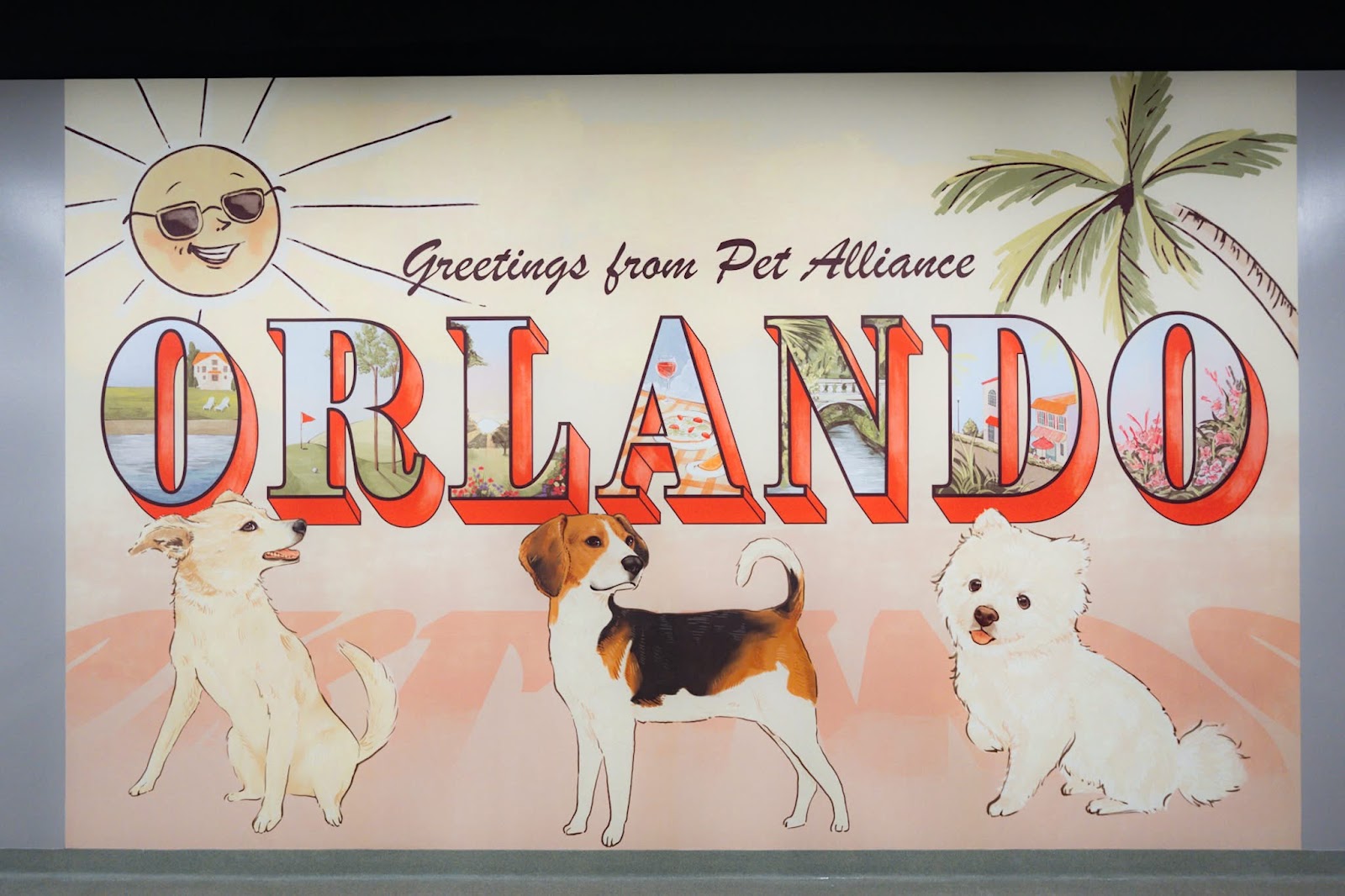 Pet Alliance of Greater Orlando (Sanford Location)