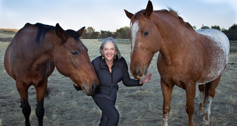 Pet and People Sitters, Inc photo 2