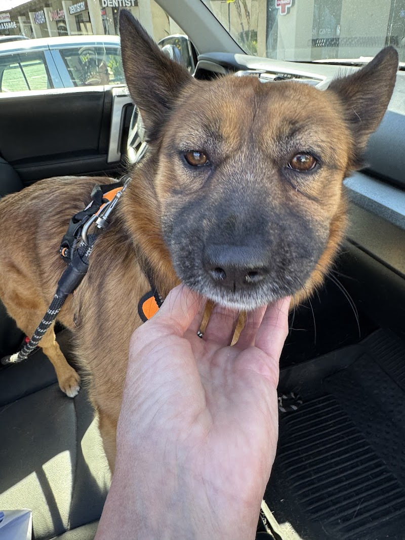 Pet Emergency & Specialty Center-East County photo 2